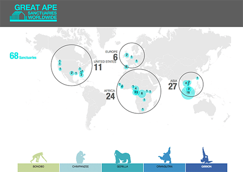 Great-Apes-Visualization